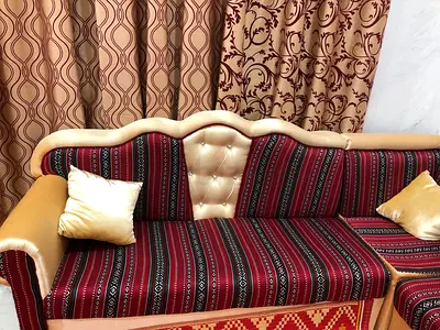 Elegant Traditional Style Sofa with Cushions