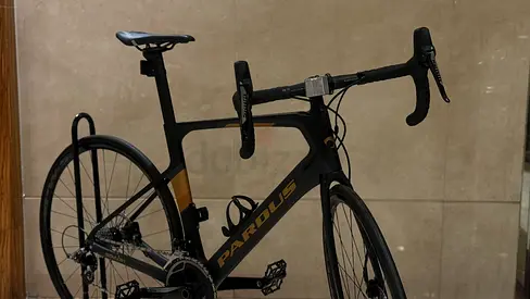 High-Performance Paridus Road Bike