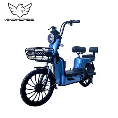 Wind Horse M3 Electric Bike