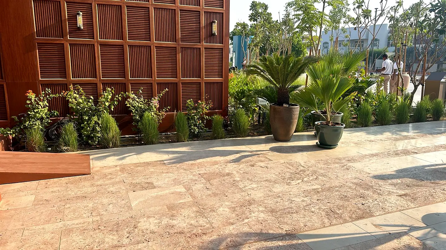DPV_View_Image_7