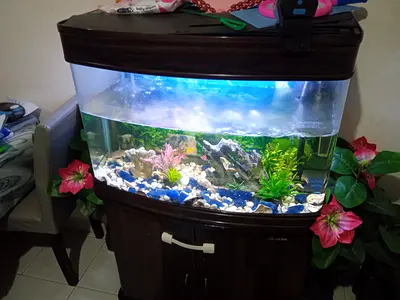 BIG AQUARIUM FOR SALE