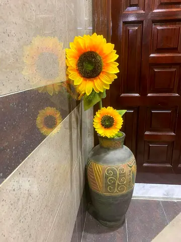 Antique original vase
for sale
i have only one Location: Abu Dhabi, Al Reem Islan