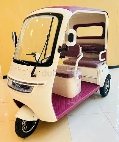 Megawheels 60 v Urban roof Back enclosed  tricycle For 3 passengers