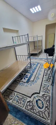 Beautiful Decorative Area Rug for Sale