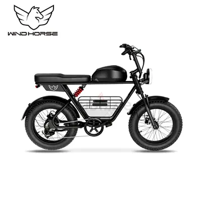 Wind Horse D5 Electric Bike