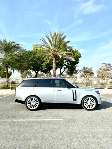 SUMMER OFFER  -LIMITED OFFER - CRYPTO PAYMENT ACCEPTED - FREE DELIVERY