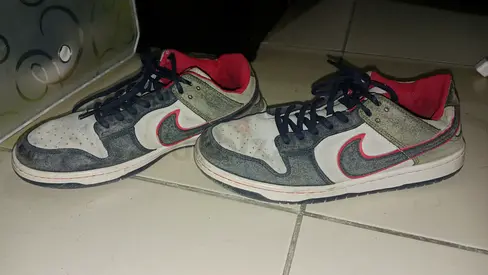Nike SB dunks