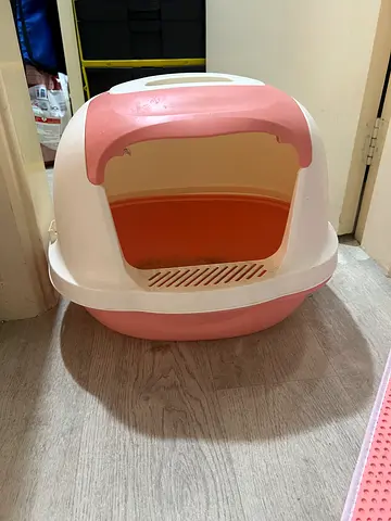 Cat Carrier in Great Condition