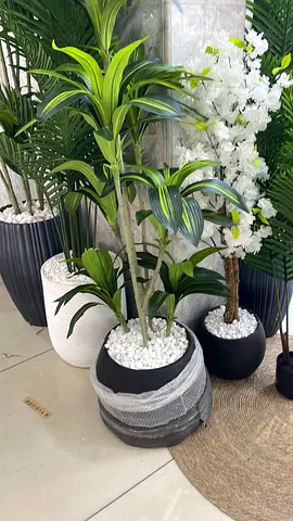 Elegant Indoor artificial Plant Collection for Home Decor price for each