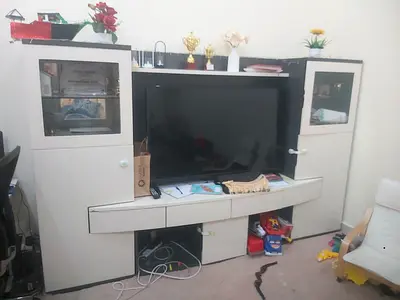 Modern Entertainment Center with Cabinets