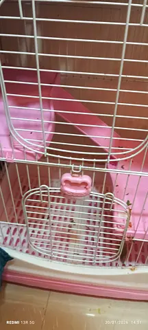 Large Pet Cage with Accessories