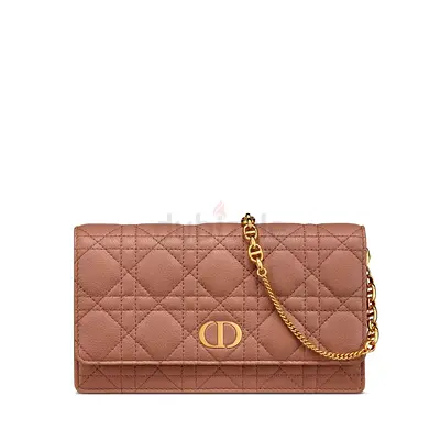 Dior Caro Pouch Bag