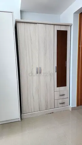 Stylish Modern Wardrobe with Ample Storage
