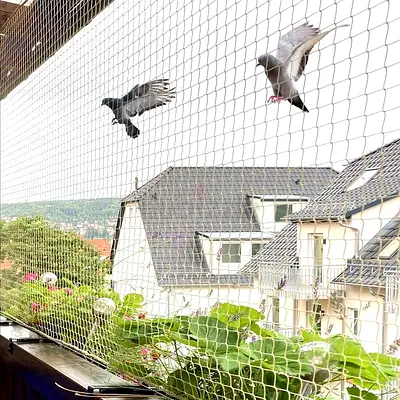 Birds net
