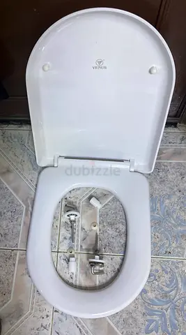 Stylish and Durable Toilet Seat for Sale