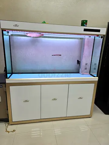 Stunning Kakei Aquarium with Elegant Design