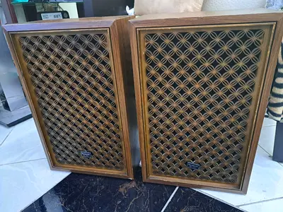 PANASONIC VANTAGE SPEAKER @250