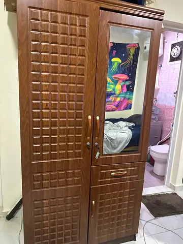 Elegant Wooden Wardrobe with Mirror