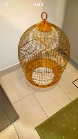 Beautiful Bird Cage for Sale for parrot and birds