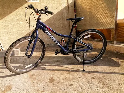 Giant Mountain Bike for Sale