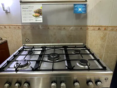 Gas stove