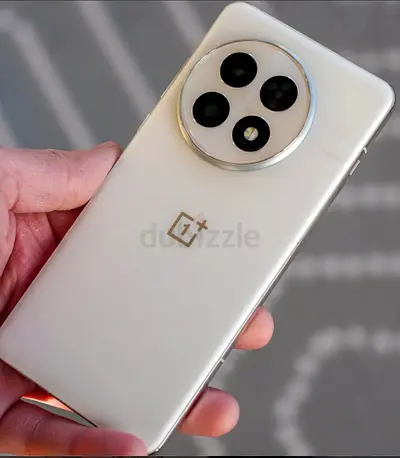 1 Plus 13R 12GB /256 GB