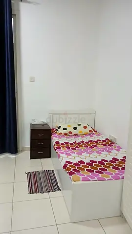 Looking for a roommate executive working Lady