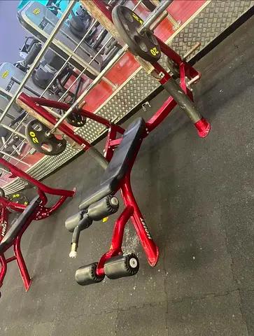 Quality Weight Bench for Home Gym