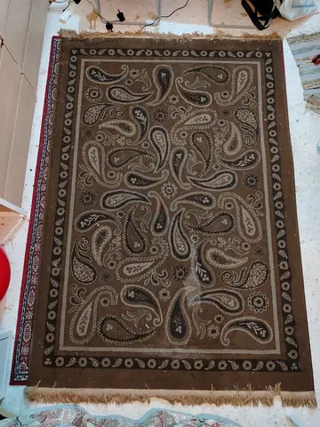 Elegant Paisley Pattern Area carpet