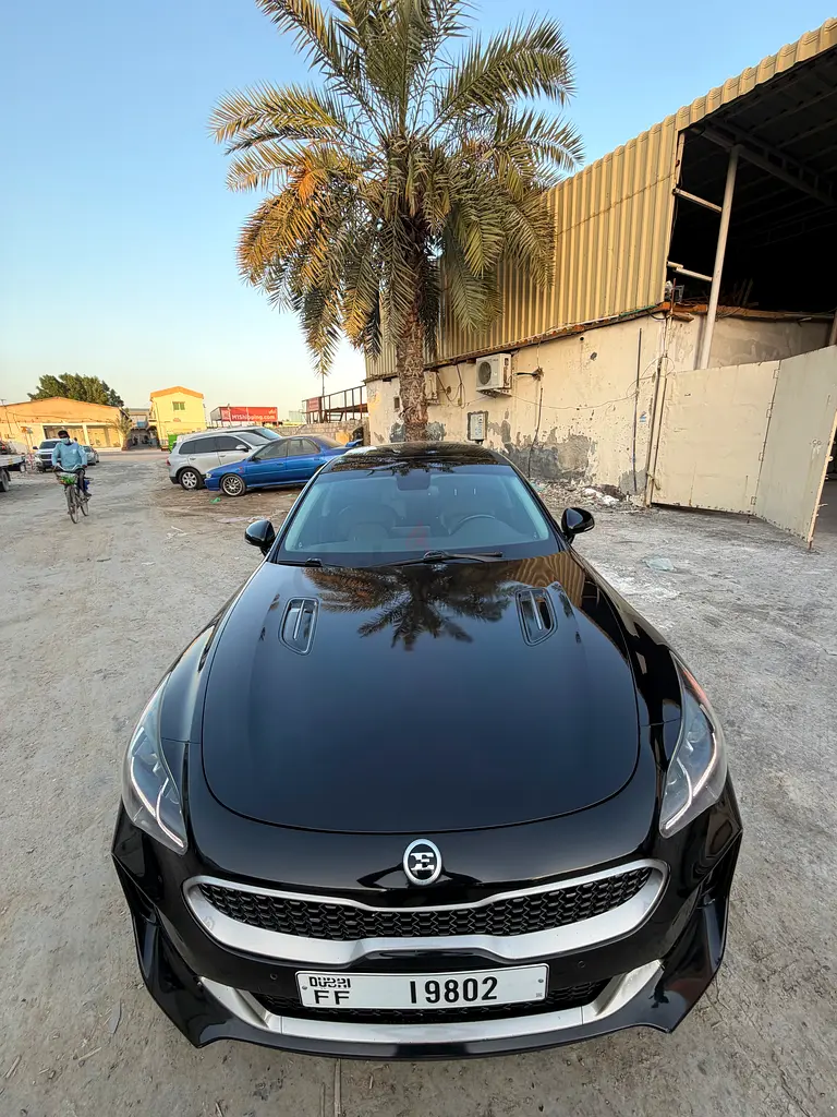 GT (3.3 L)