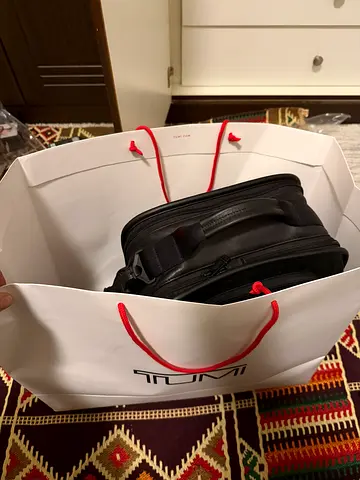 Tumi leather backpack Alpha