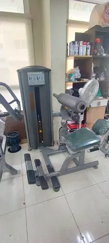 Low back  abdominal machine