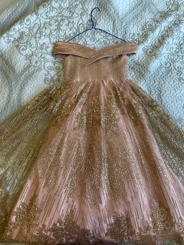 Elegant Pink and Gold Party Dress