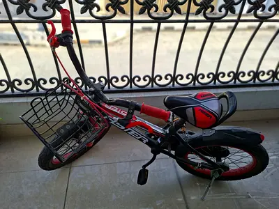 Kids Stylish Bicycle for Sale