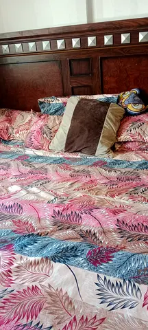 Beautifully Crafted Bed with Elegant mattress 220*220