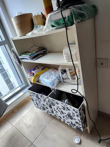 Shelf organizer