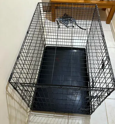Pet cage