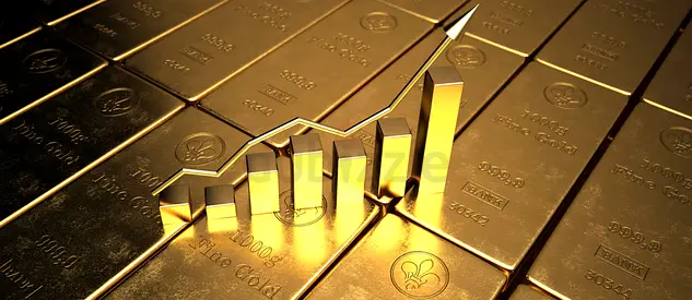 Trade License Hamriyah Free Zone FZE with Precious Metals Import/Export Commercial Brokerage