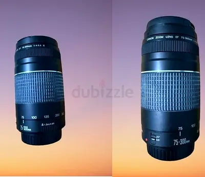Canon EOS2000D  EF 75-300mm Zoom Lens