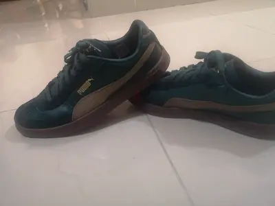 Stylish Puma Sneakers in Green and Brown