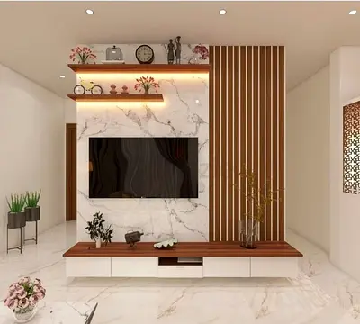 Luxury TV unit wall design