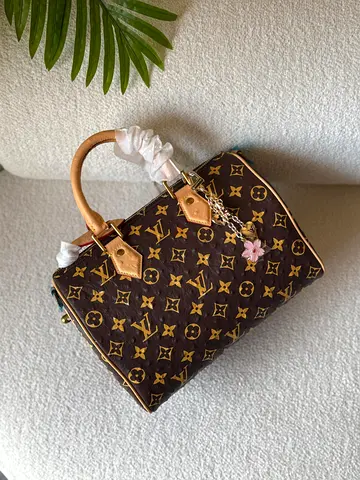Lv Monogram speedy bag for men