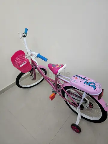 Bike size 20