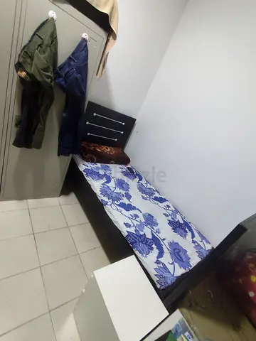 Single bedspace available in discovery garden