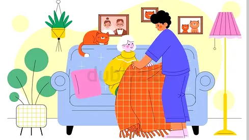 Companion - Senior support