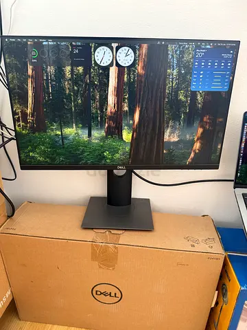 Dell Monitor in Excellent Condition