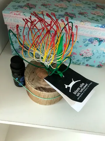 South African oil diffuser with essential oil