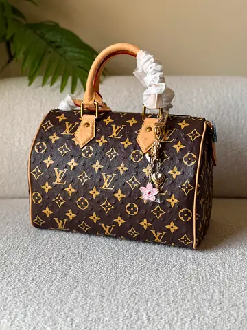 Louis Vuitton speedy