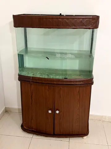 Aquarium with Cabinet Stand for Sale