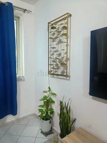 Stylish Wall Planter with Modern Design